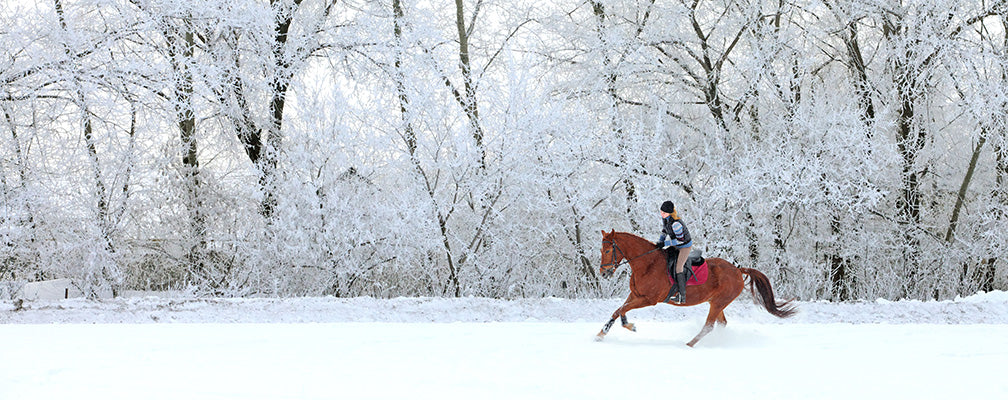 Woman Riding Horse in Snowy Winter Landscape