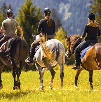 Three people riding horses in a grassy field with mountains in the background