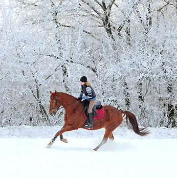 Person riding a horse through a snowy landscape with trees.