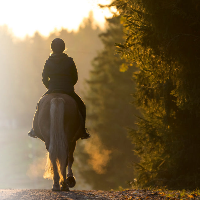 Person riding a horse on a path with trees and sunlight in the background