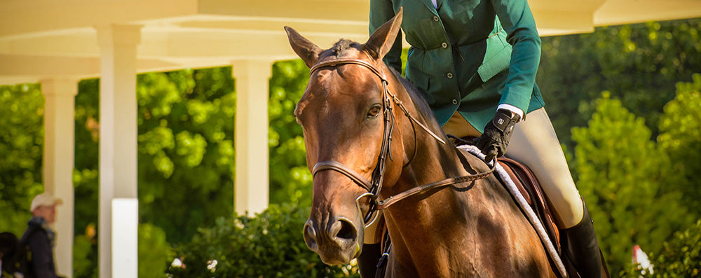 Equestrian Rider in Green jacket on horse wearing SSG 2100 Digital Gloves.