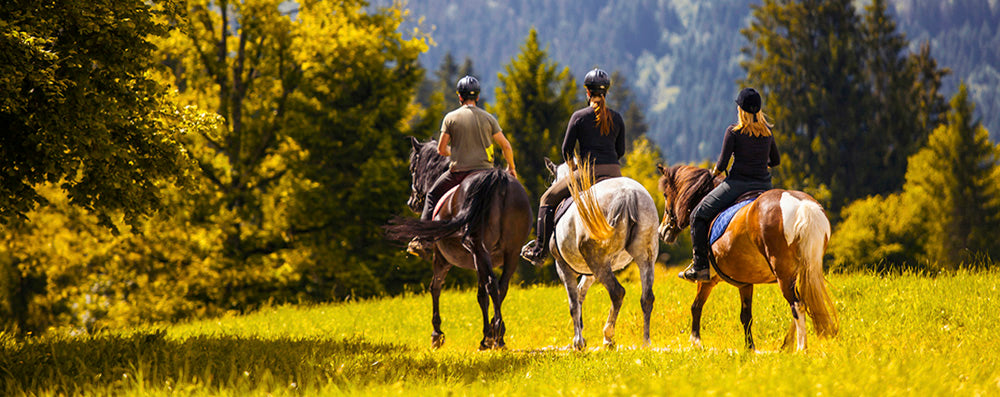 3 Riders riding away on horseback through a grassy field towards the forest.