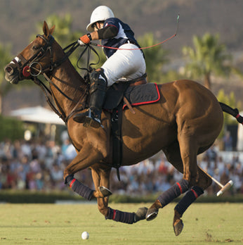 Polo player on a horse in action during a match with spectators in the background.