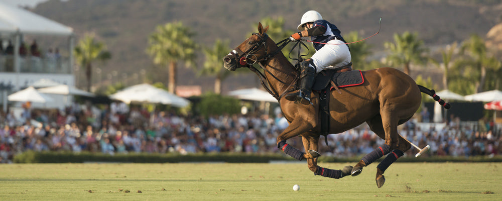 Polo player on a horse during a match with spectators in the background