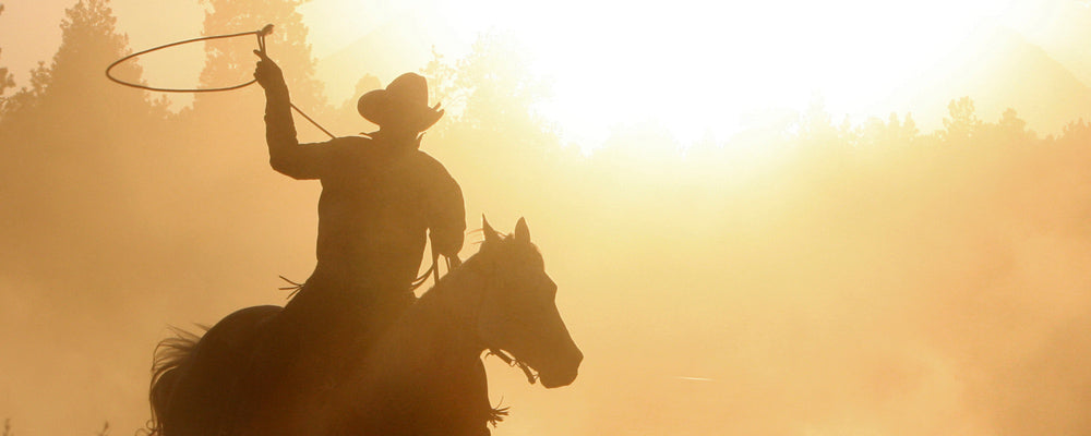 Silhouette of a person riding a horse with a lasso against a sunset sky.