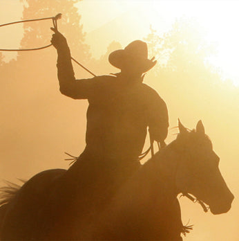 Silhouette of a cowboy on horseback against a sunset sky