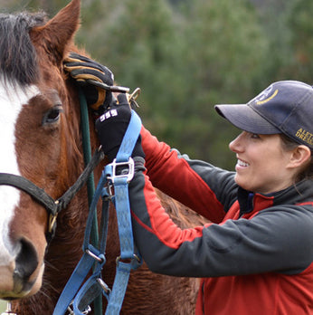 Person adjusting a horse's bridle with a natural background